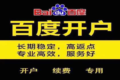 百度推广案例：精准广告投放策略解析